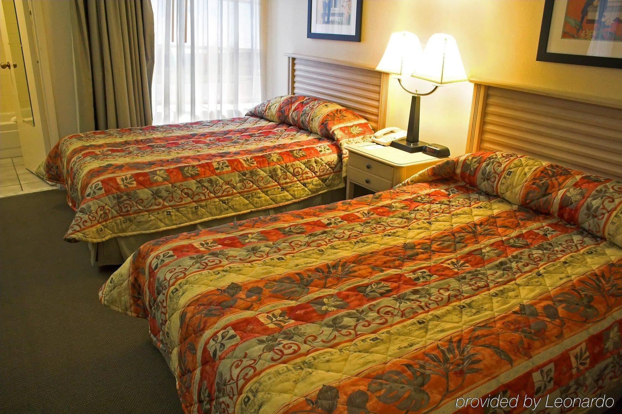 Baymont By Wyndham Tampa Near Busch Gardens Ξενοδοχείο Δωμάτιο φωτογραφία