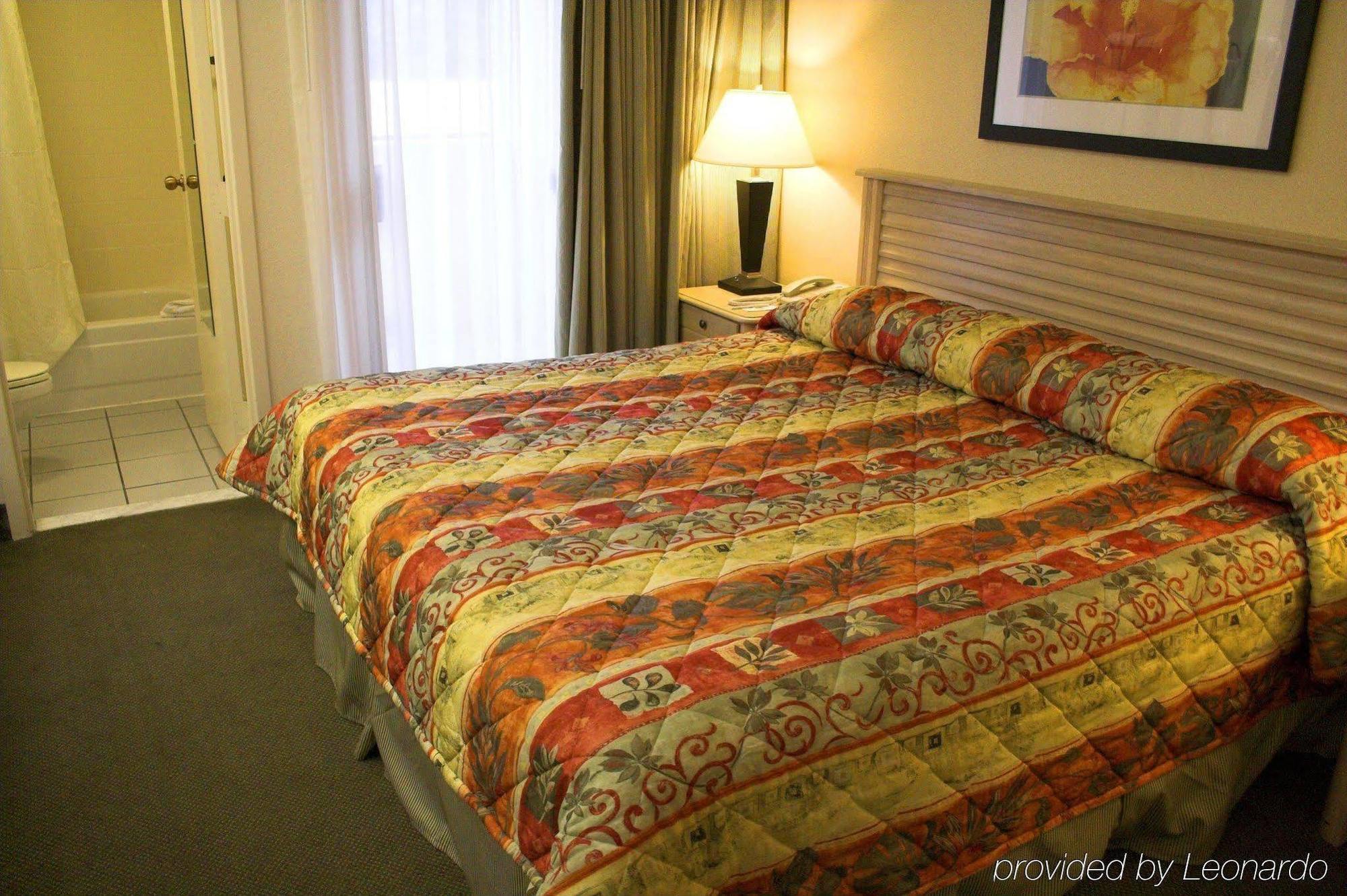 Baymont By Wyndham Tampa Near Busch Gardens Ξενοδοχείο Δωμάτιο φωτογραφία
