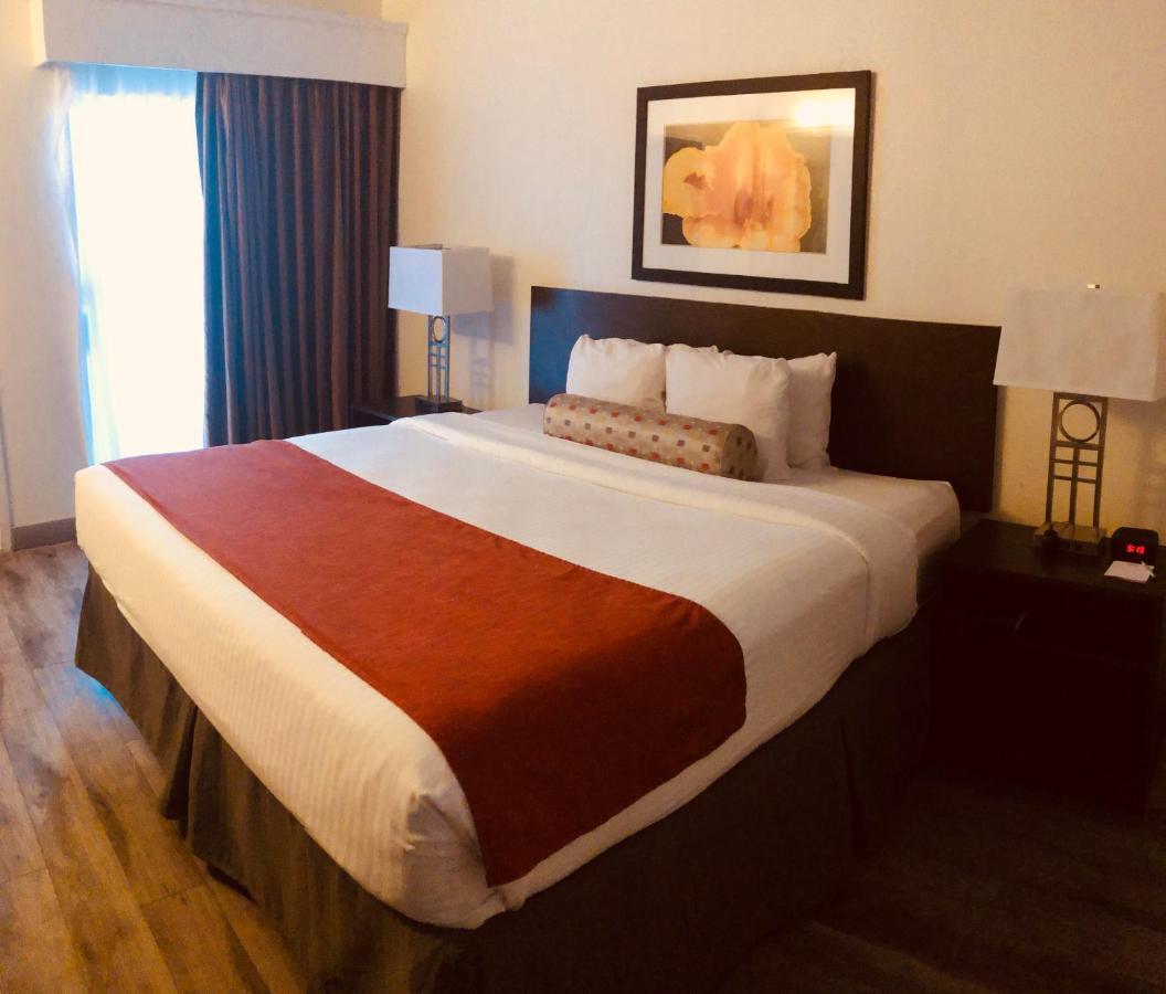 Baymont By Wyndham Tampa Near Busch Gardens Ξενοδοχείο Εξωτερικό φωτογραφία